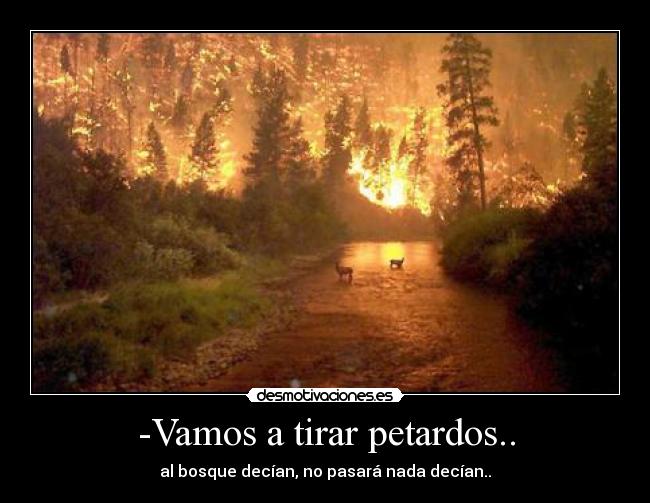 -Vamos a tirar petardos.. -