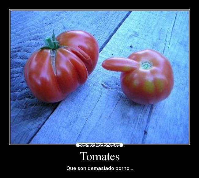 Tomates - Que son demasiado porno...