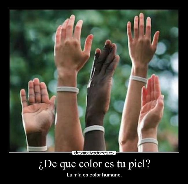 carteles dsrwetrtrytr desmotivaciones