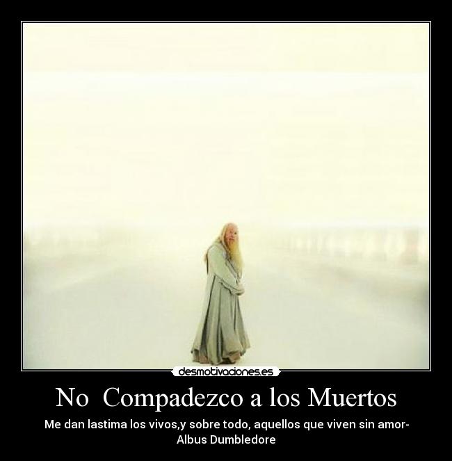 carteles martibiebercyrus desmotivaciones