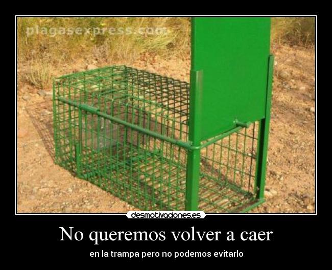 No queremos volver a caer - 