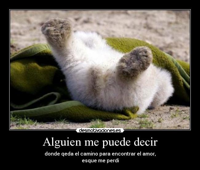 Alguien me puede decir - 