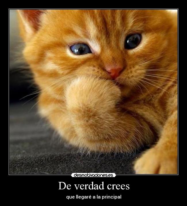 De verdad crees - que llegaré a la principal