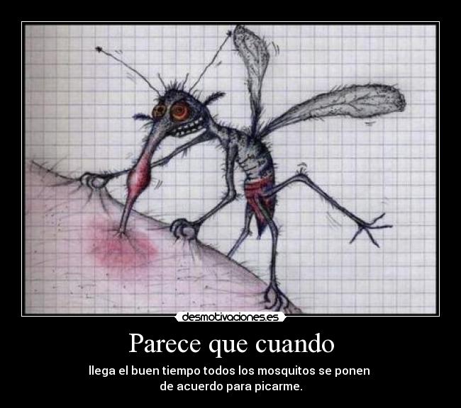 carteles mediometro pikaduras brazos piernas cara xdd estoy monisima kedas sin cam siento cari desmotivaciones