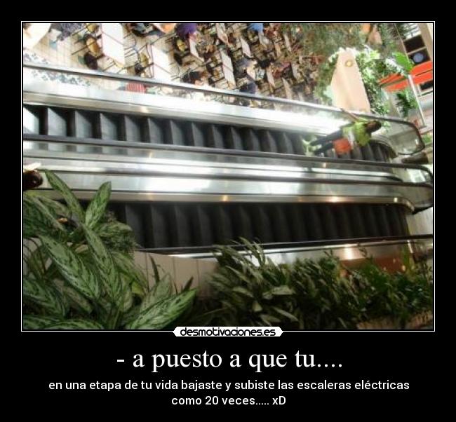 - a puesto a que tu.... - en una etapa de tu vida bajaste y subiste las escaleras eléctricas como 20 veces..... xD