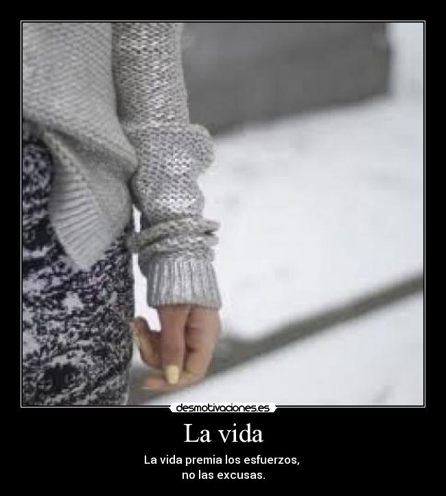 La vida - La vida premia los esfuerzos,
no las excusas.