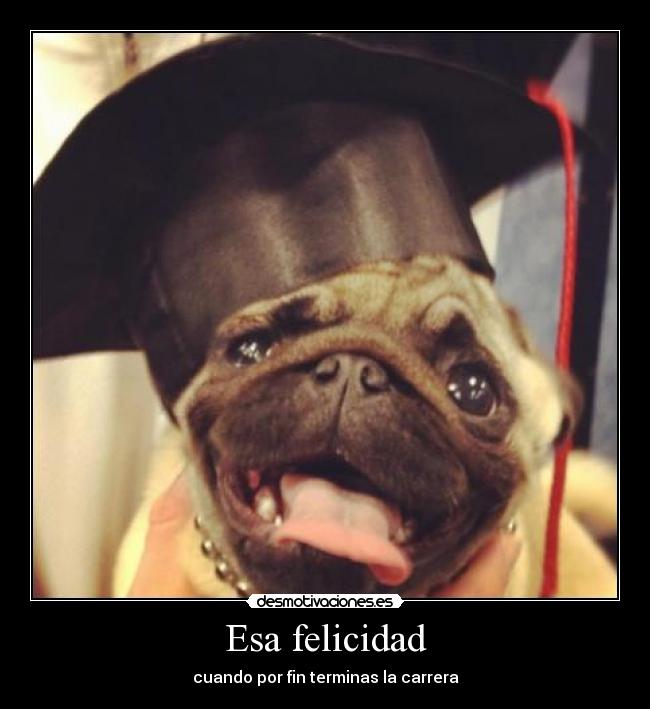 Esa felicidad -