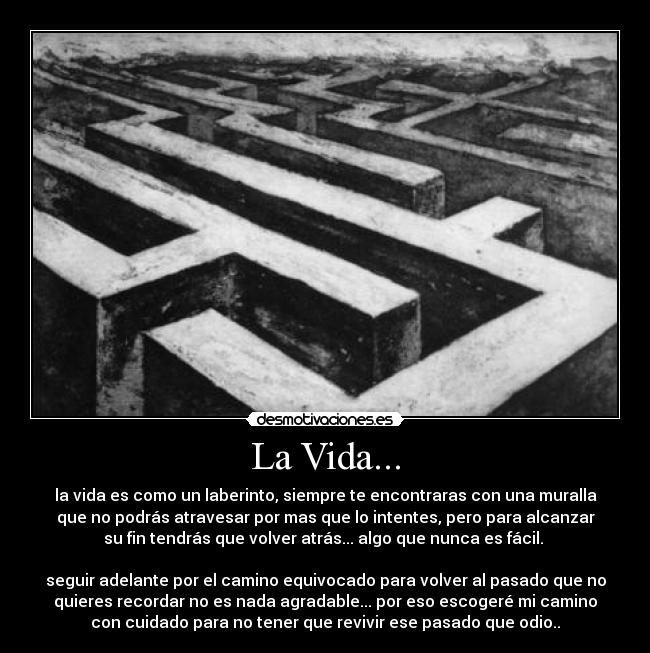 carteles vida vida desmotivaciones