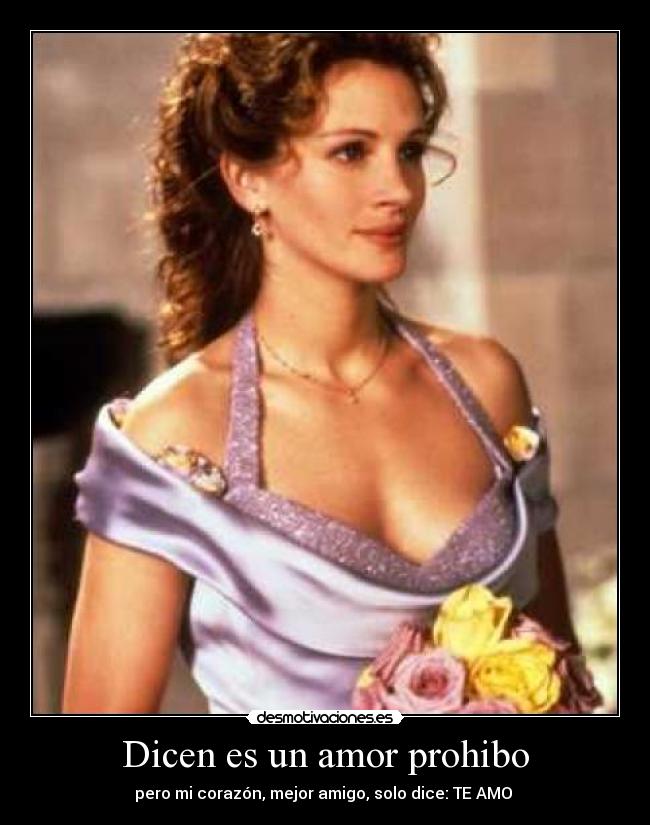 carteles amor boda mejor amigo amo amor prohibido julia roberts desmotivaciones