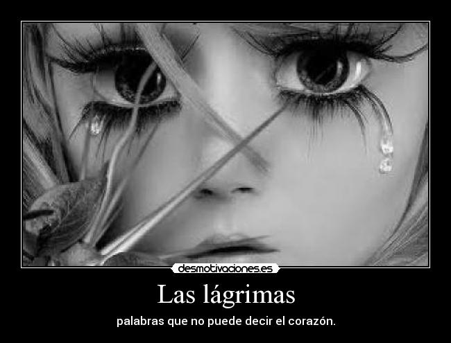 Las lágrimas - 