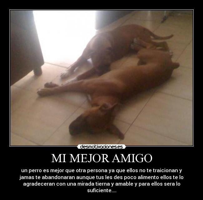 carteles vera rdz desmotivaciones