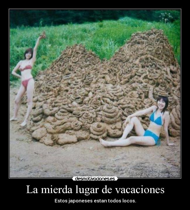 La mierda lugar de vacaciones -
