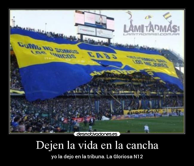 carteles vida boca juniors desmotivaciones