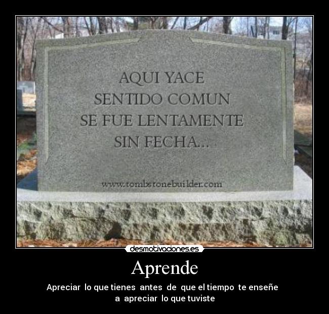 Aprende - Apreciar  lo que tienes  antes  de  que el tiempo  te enseñe  
a  apreciar  lo que tuviste