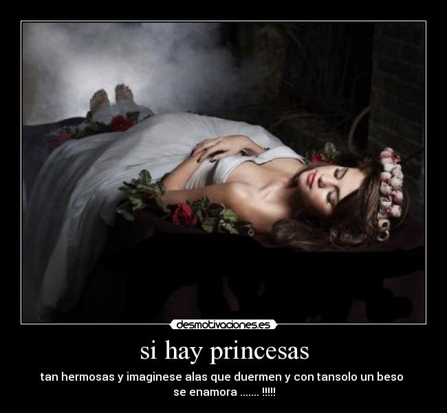 si hay princesas - tan hermosas y imaginese alas que duermen y con tansolo un beso
se enamora ....... !!!!!