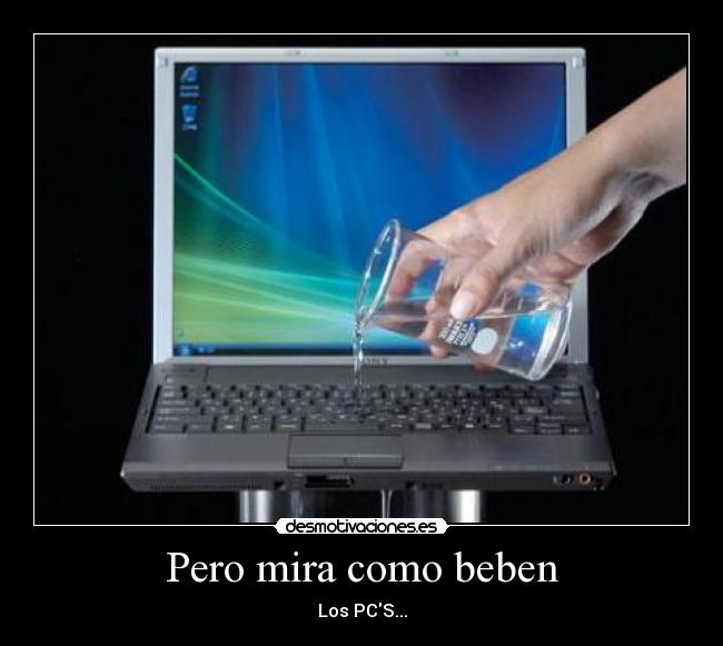 Pero mira como beben - Los PCS...