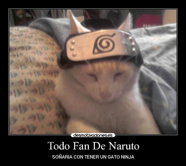 carteles naruto victor collisoffline melasudaelusuarioo melasudaelusuarioooffline ayalaelmejor ayalaelmejoroffline desmotivaciones