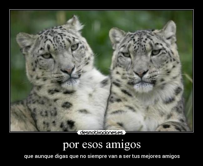 por esos amigos - 