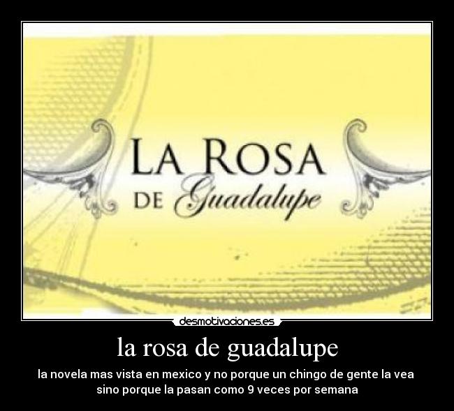 la rosa de guadalupe - la novela mas vista en mexico y no porque un chingo de gente la vea
sino porque la pasan como 9 veces por semana