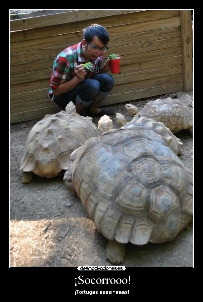 ¡Socorrooo! - 