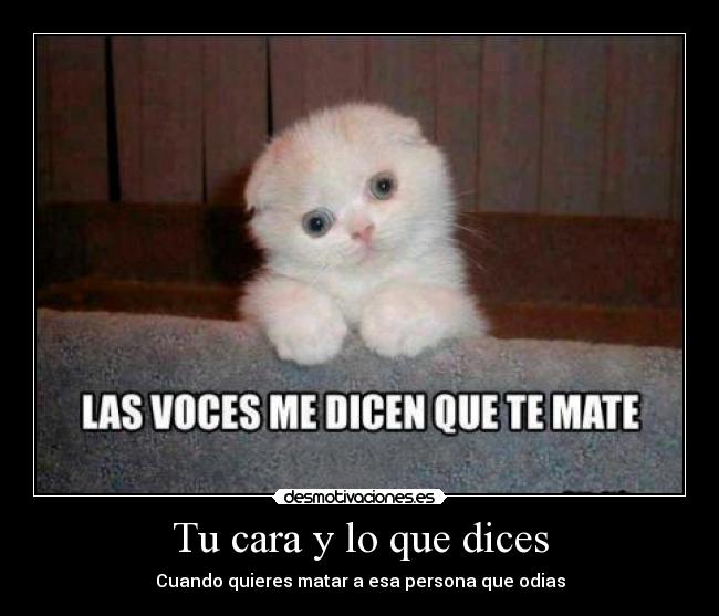 Tu cara y lo que dices -