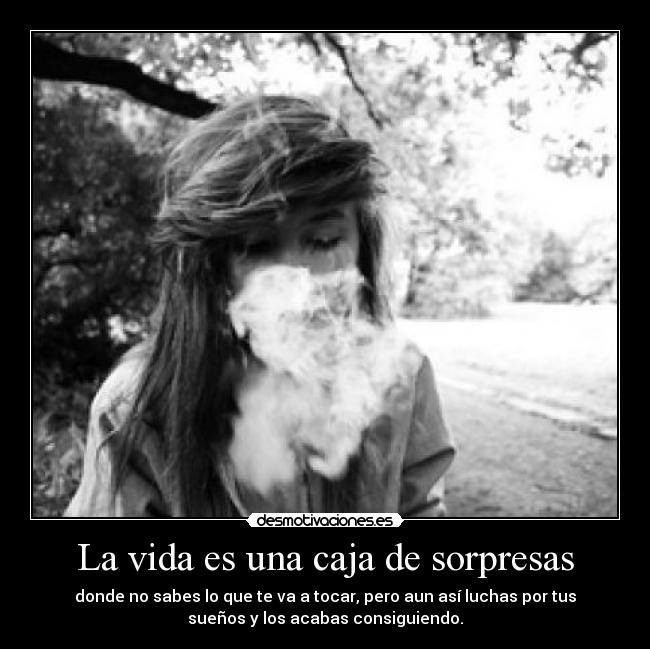 La vida es una caja de sorpresas - donde no sabes lo que te va a tocar, pero aun así luchas por tus
sueños y los acabas consiguiendo.