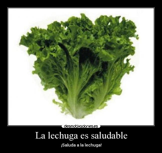 La lechuga es saludable -