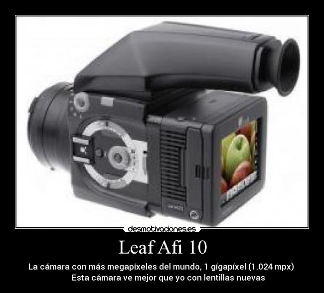 Leaf Afi 10 - La cámara con más megapíxeles del mundo, 1 gígapíxel (1.024 mpx)
Esta cámara ve mejor que yo con lentillas nuevas