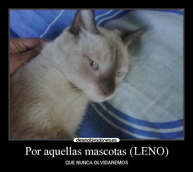 Por aquellas mascotas (LENO) - 