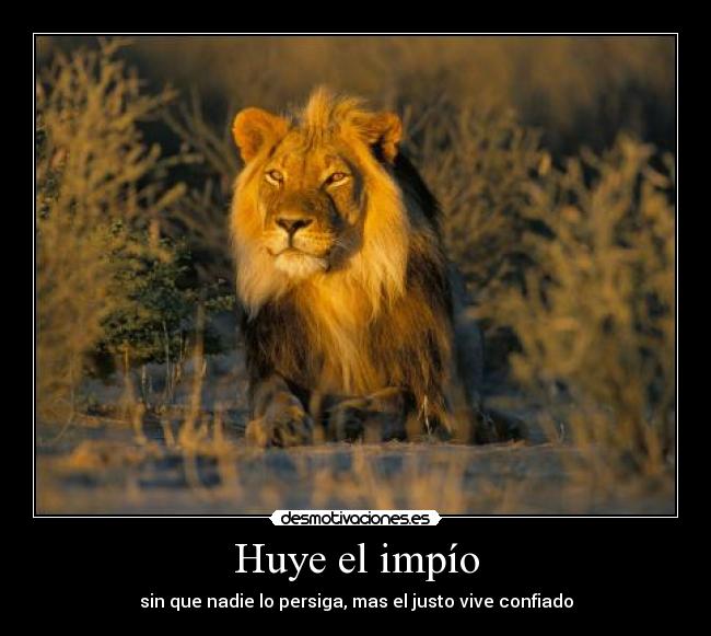 Huye el impío - sin que nadie lo persiga, mas el justo vive confiado