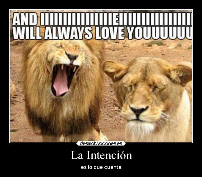La Intención - es lo que cuenta