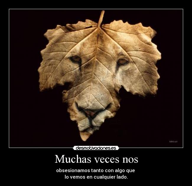 Muchas veces nos - 