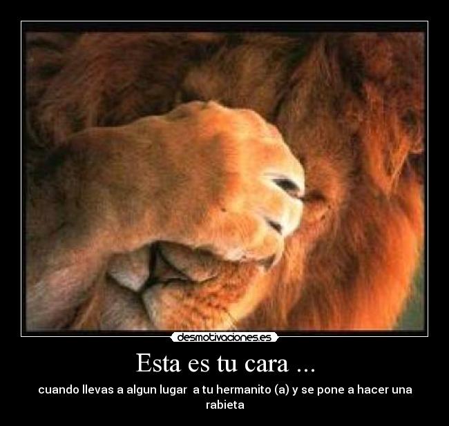 Esta es tu cara ... - 