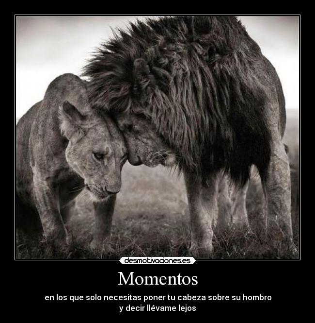 Momentos - 