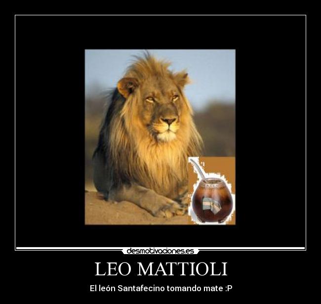 LEO MATTIOLI - El león Santafecino tomando mate :P