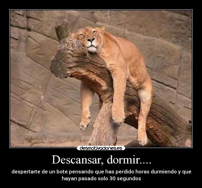Descansar, dormir.... -