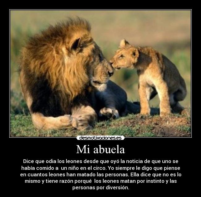 Mi abuela - Dice que odia los leones desde que oyó la noticia de que uno se
había comido a un niño en el circo. Yo siempre le digo que piense
en cuantos leones han matado las personas. Ella dice que no es lo
mismo y tiene razón porqué los leones matan por instinto y las
personas por diversión.