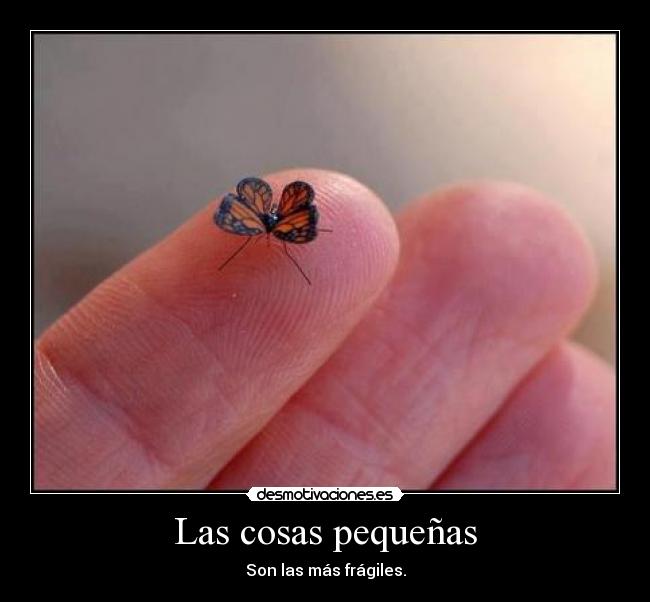 Las cosas pequeñas -