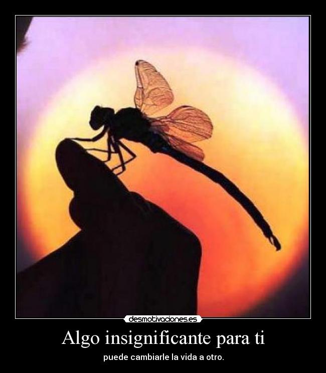 Algo insignificante para ti - puede cambiarle la vida a otro.