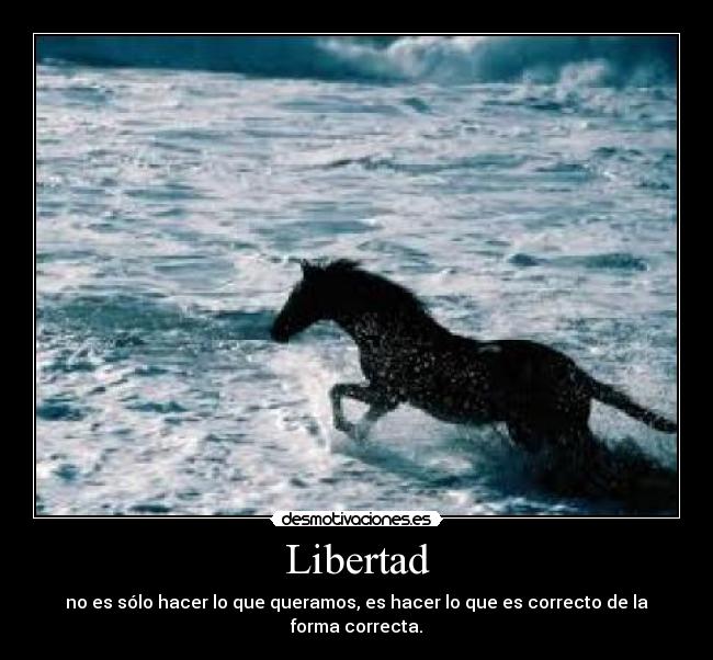 Libertad - 