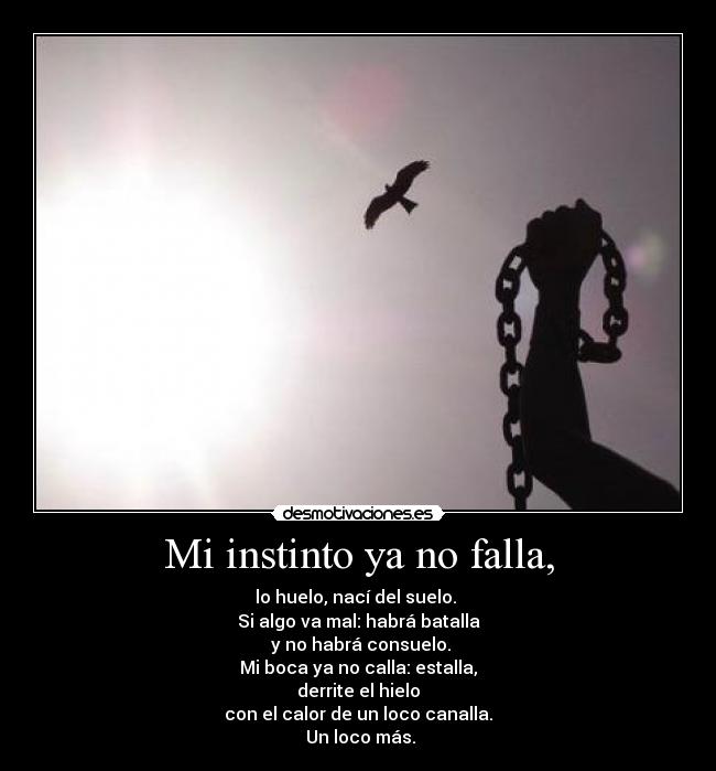 Mi instinto ya no falla, -