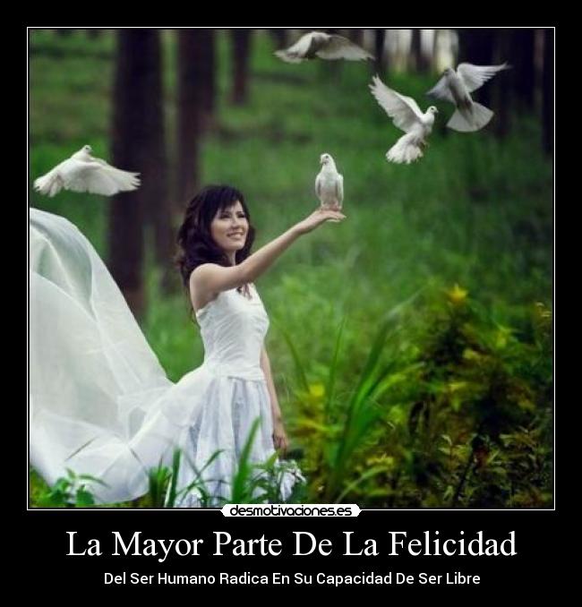 La Mayor Parte De La Felicidad - 