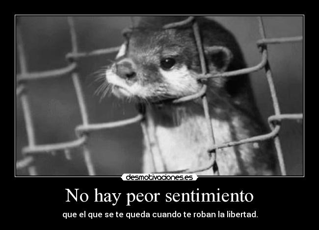 No hay peor sentimiento - que el que se te queda cuando te roban la libertad.