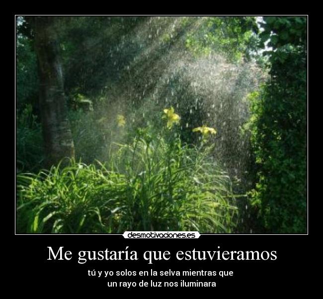 Me gustaría que estuvieramos - tú y yo solos en la selva mientras que
un rayo de luz nos iluminara