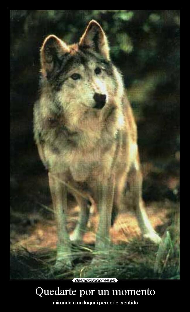 Quedarte por un momento -