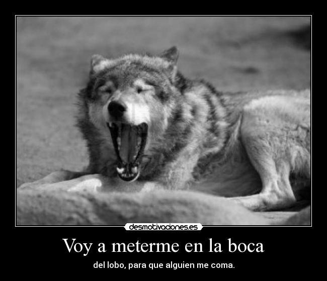 Voy a meterme en la boca -