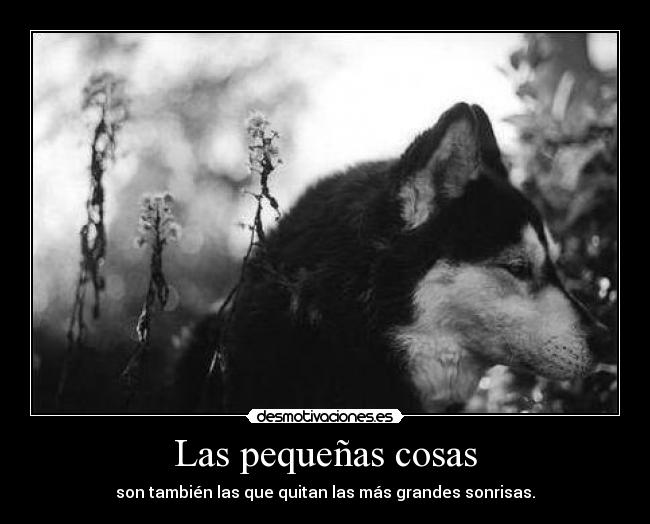 carteles dreadja cartel resubido dreadk por falta imaginacion desmotivaciones