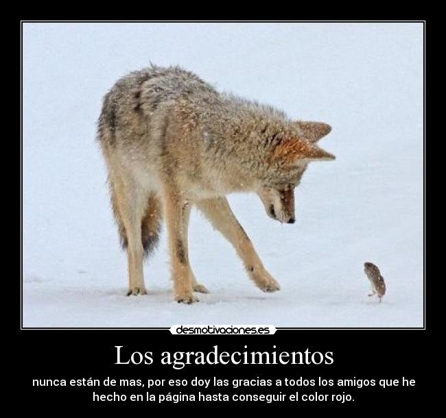 Los agradecimientos - 
