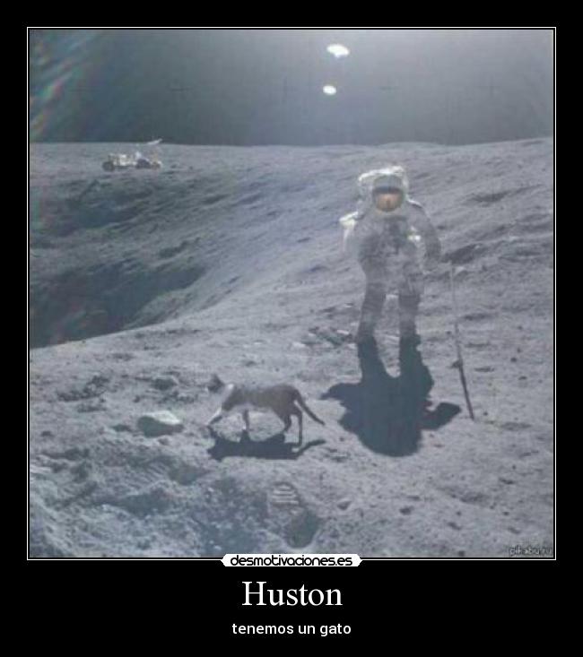 Huston - 