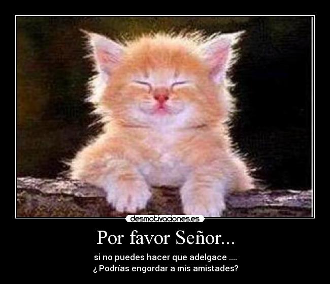 Por favor Señor... - si no puedes hacer que adelgace ....
¿ Podrías engordar a mis amistades?